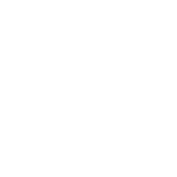 icon Review